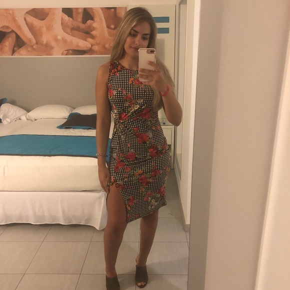 Meet your Posher, Mathilda - Picture 1 of 1